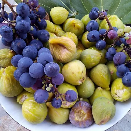 Milutin דירה ורסי