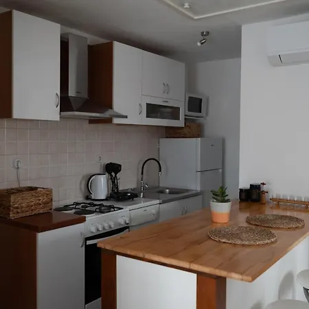 Apartment Milutin *